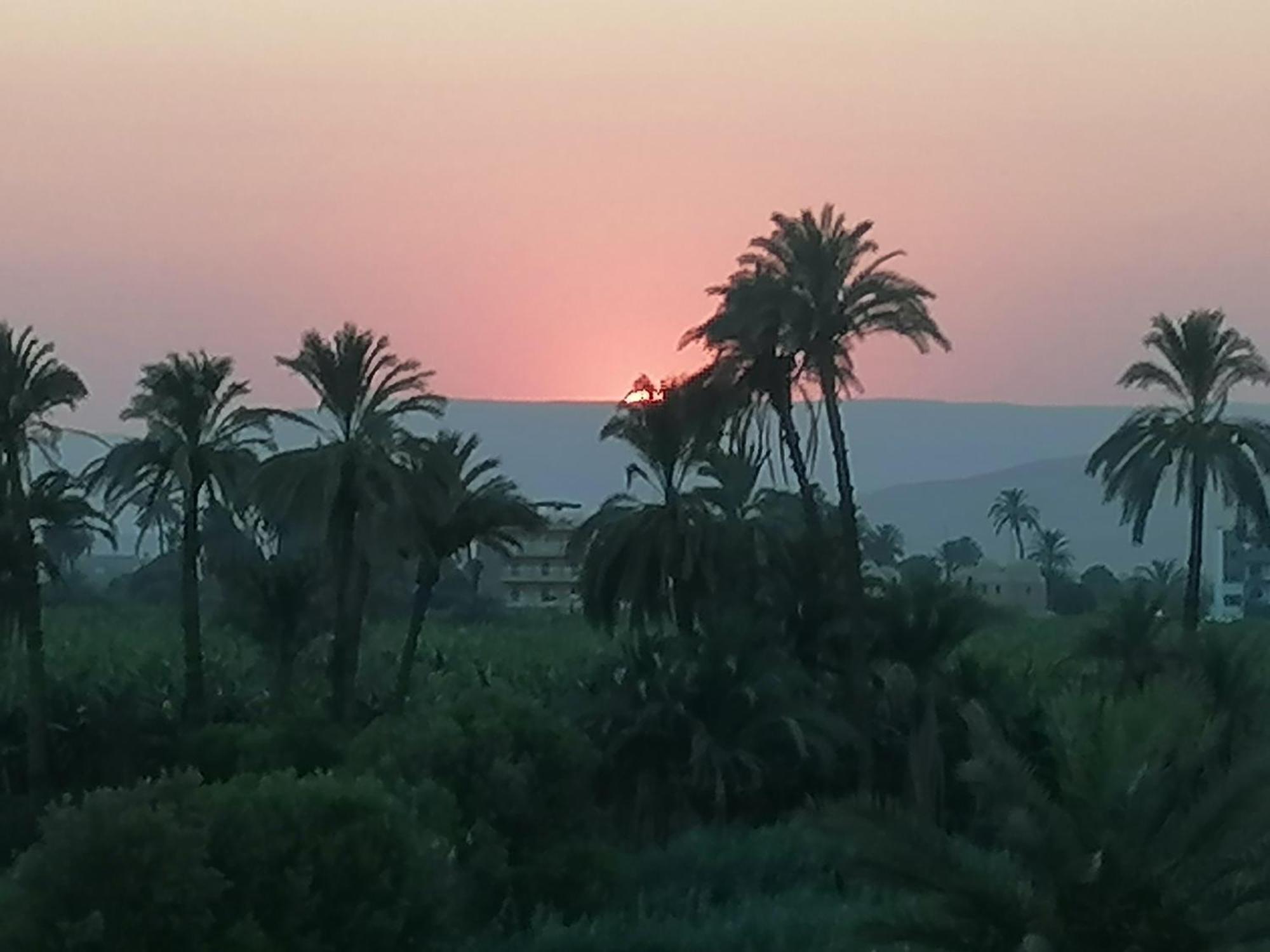 Luxor Palace Apartments מראה חיצוני תמונה