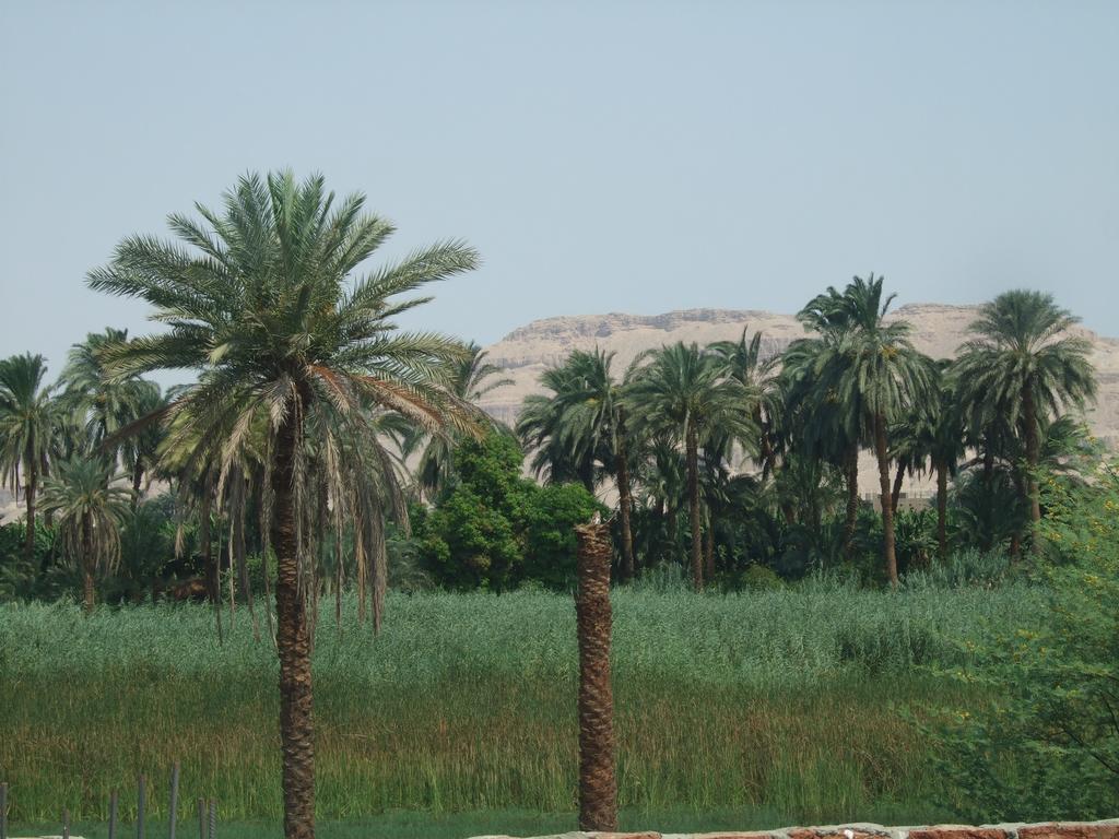 Luxor Palace Apartments מראה חיצוני תמונה