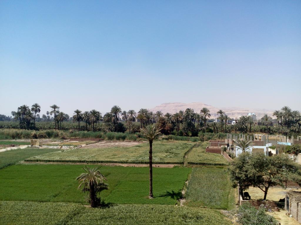 Luxor Palace Apartments מראה חיצוני תמונה